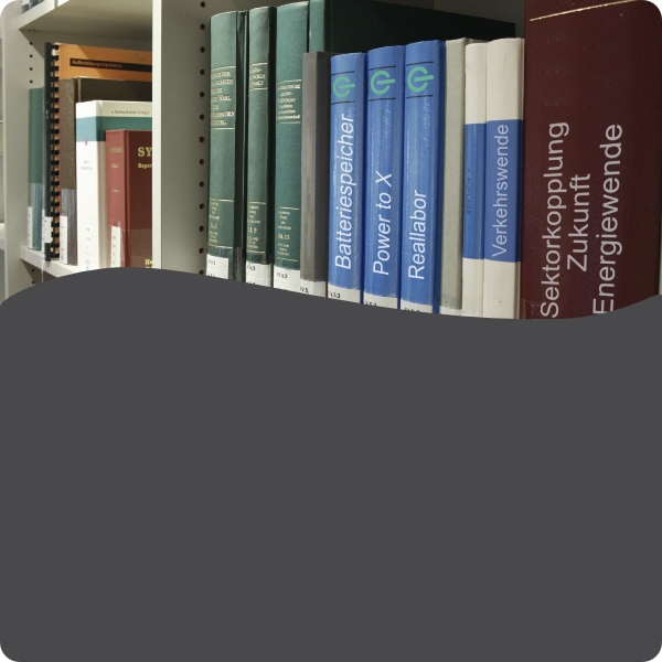 Ausgewählte Publikationen